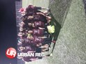 /userfiles/Vancouver/image/gallery/League/10048/z_-_Bear_With_Fish_-_Pool_A_champs.jpg