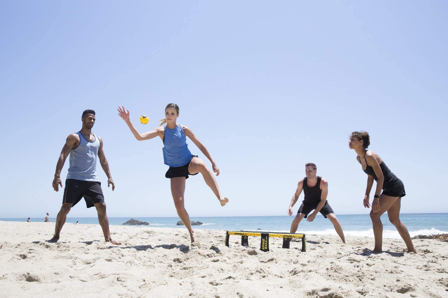 Beach best sale spike ball